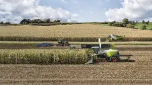 Claas tractor in a field of wheat
