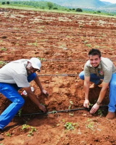 Feet on the Farm